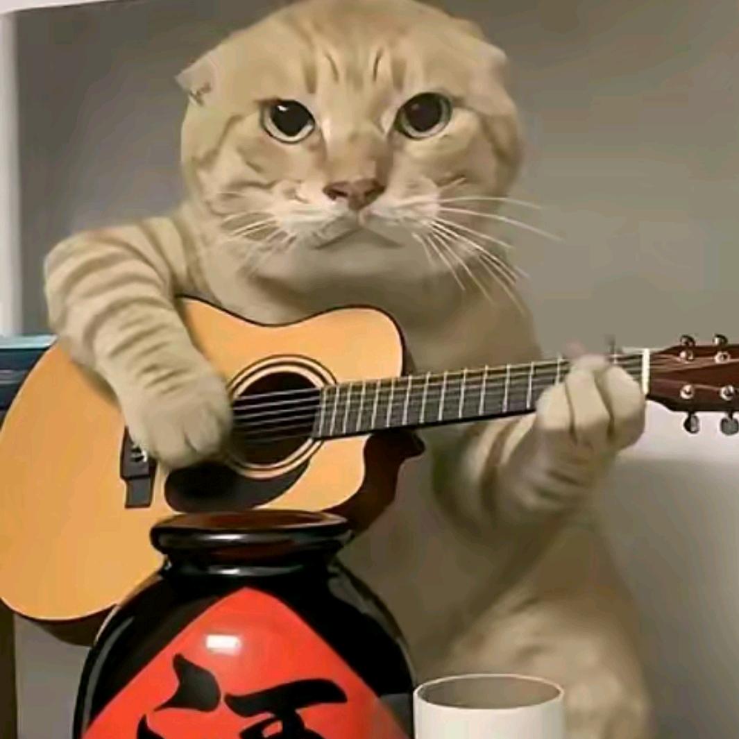 仙女村大美女🌨