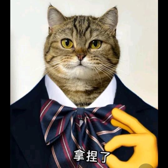 阿狸的潮流弹匣