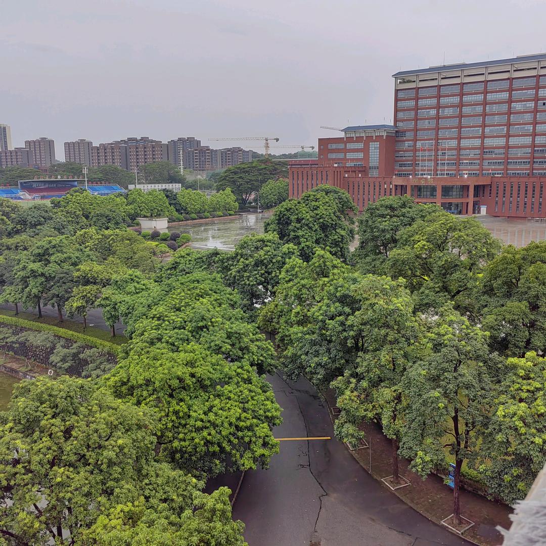 盛展咨询升学（林老师）