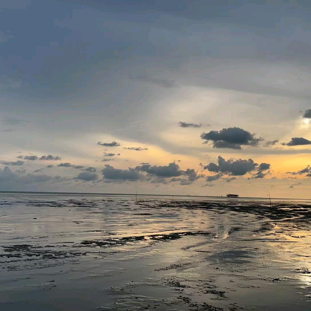 锦鲤