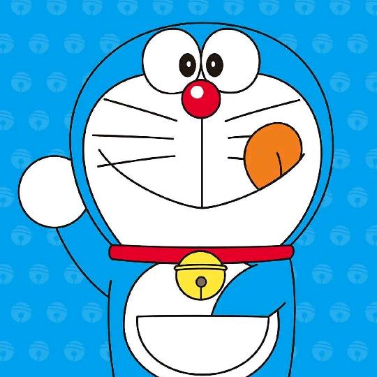 蚝 do you do(曲靖花柯)