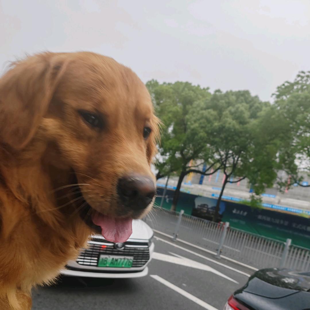 猫南北的头号粉丝