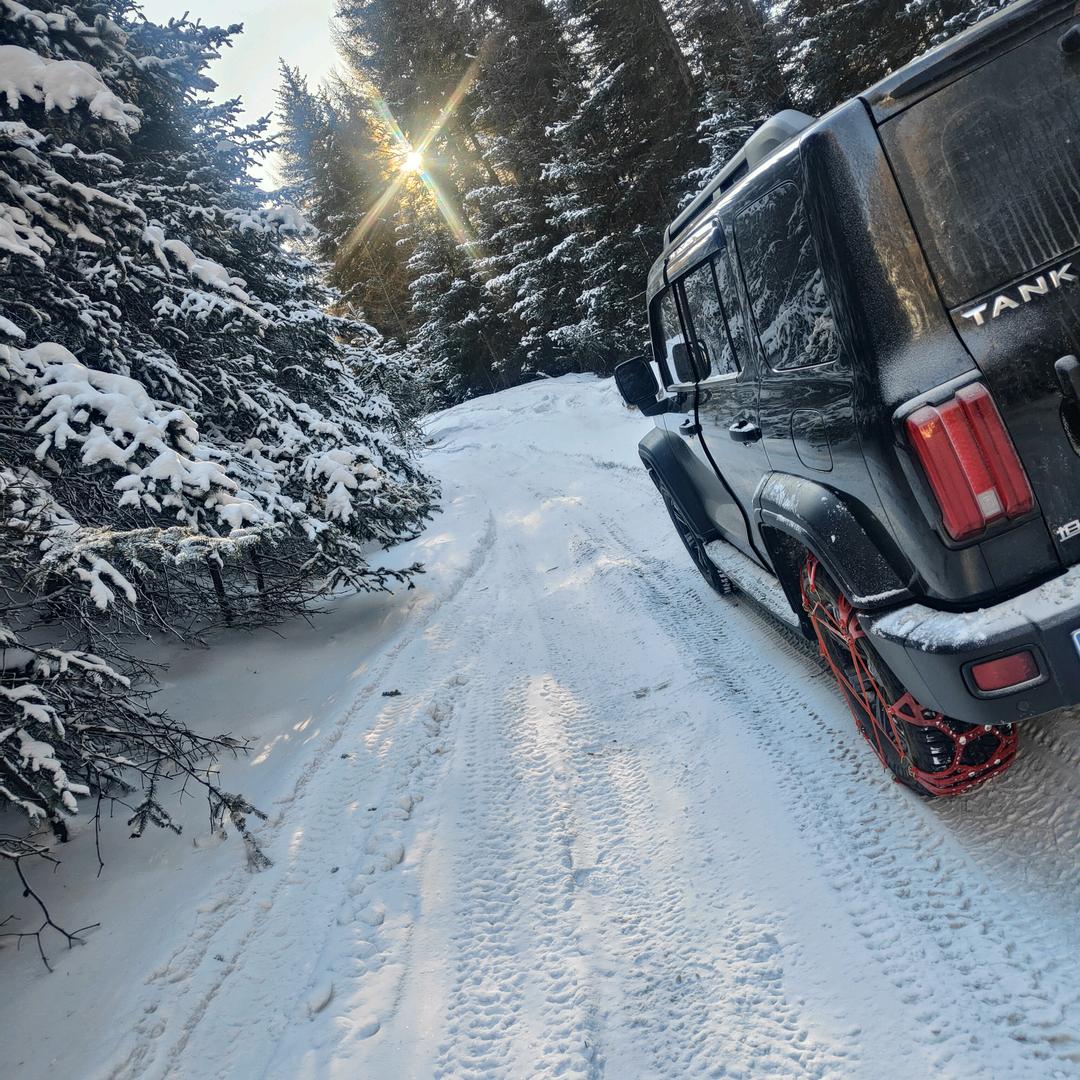 森有雾林有鹿℡