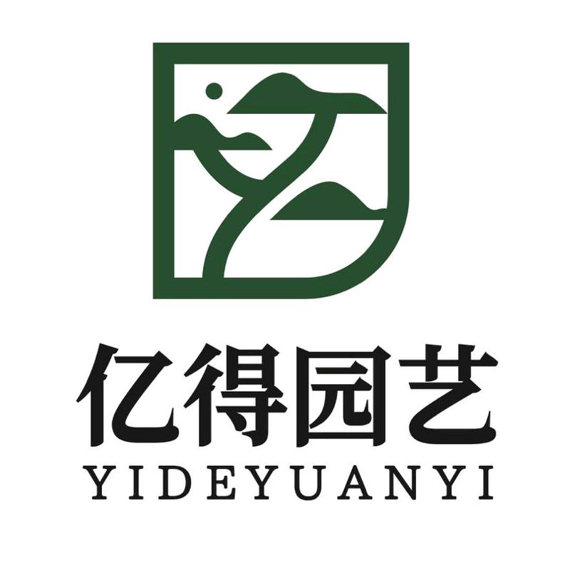 亿得罗汉松基地