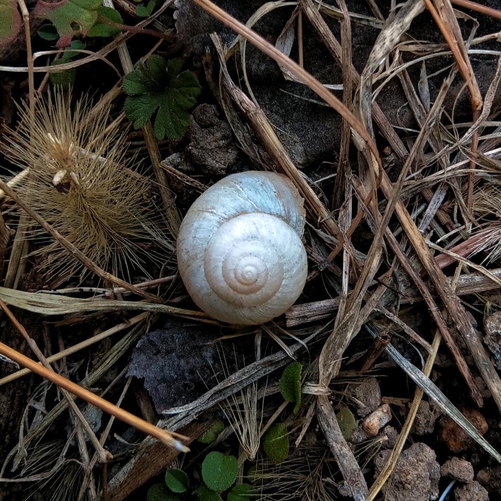 闲云。。。Σ( ° △ °|||)︴