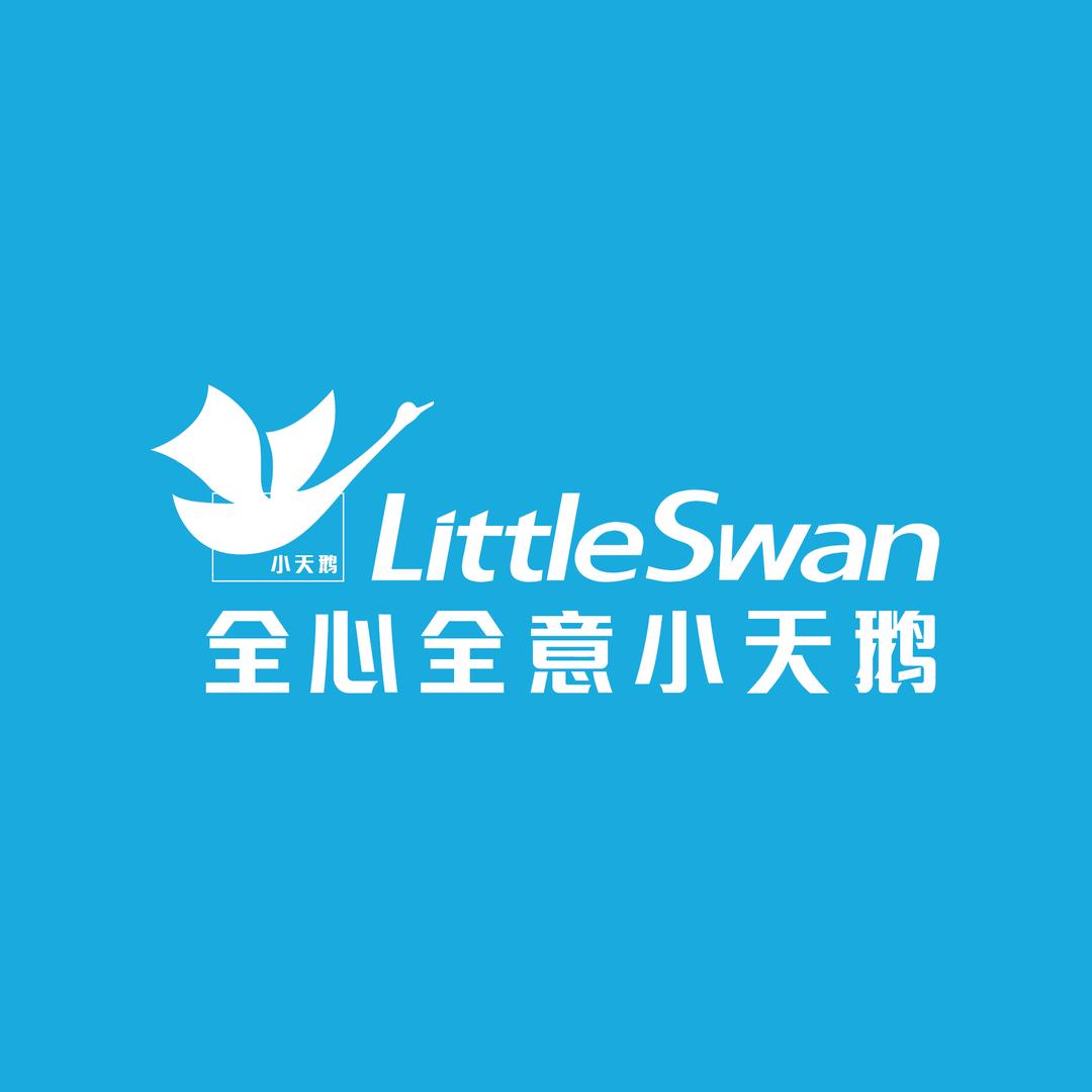 全心全意小天鹅在东环路
