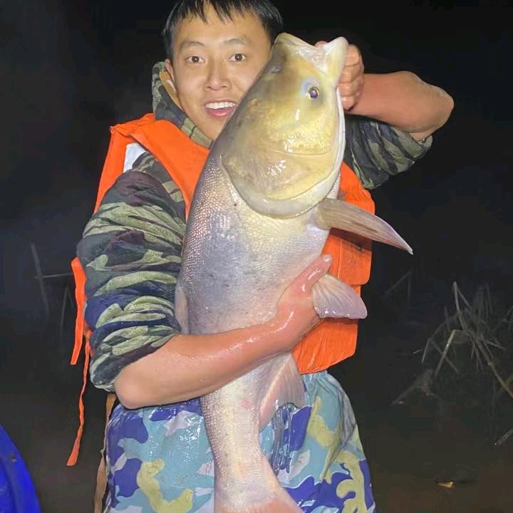 江边张二狗
