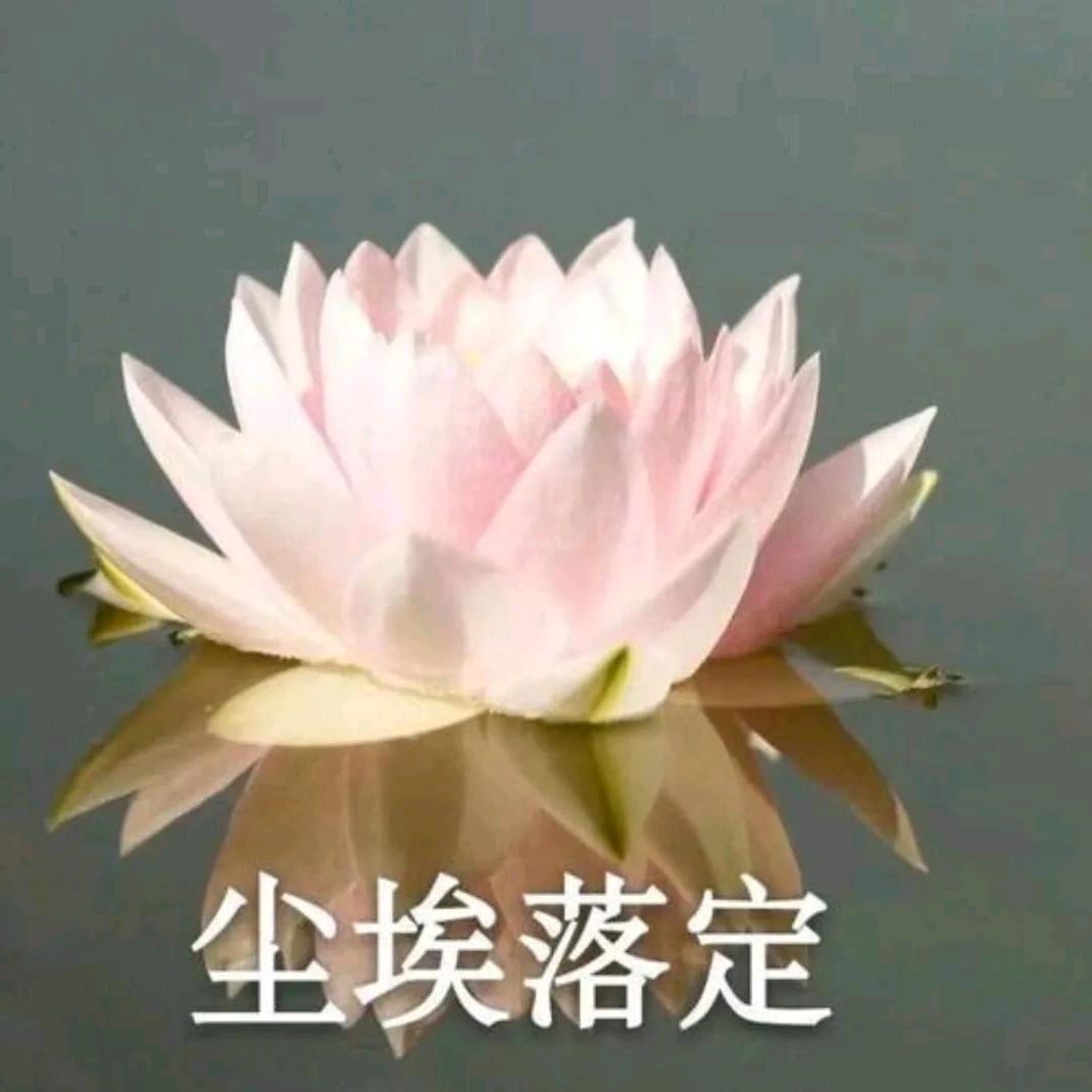 别废话跳舞吧