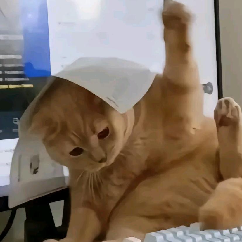 嗨亥