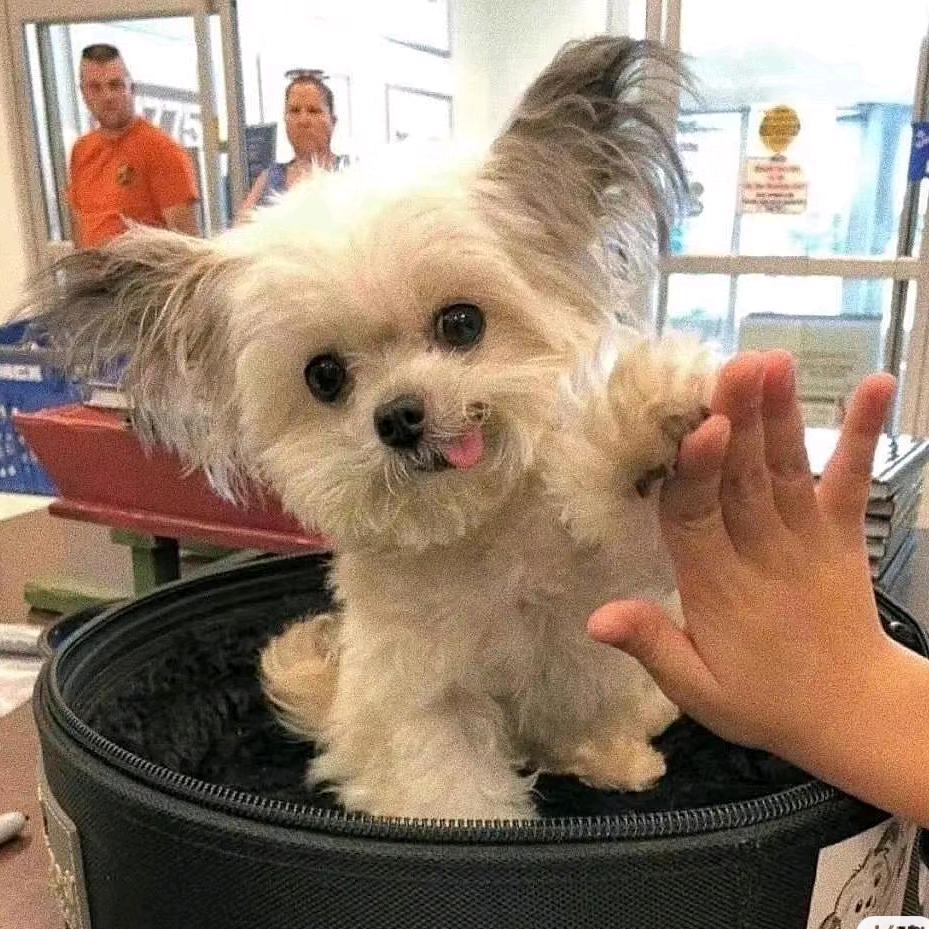 吃中饭盼晚饭🥣