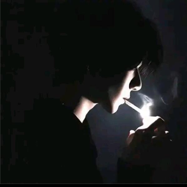 鸿雁归来 与君再续