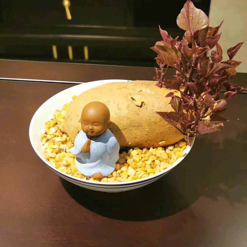 静初她大舅