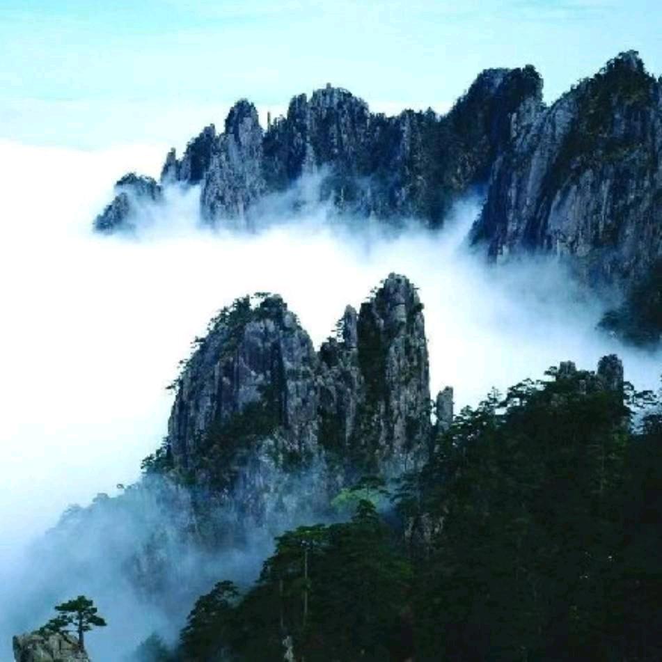 兆丰