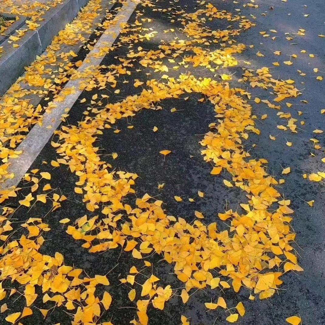 丰颖