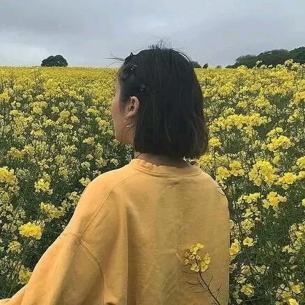 语心