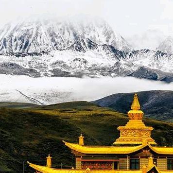 海阔心为界🐾杨鹏辉