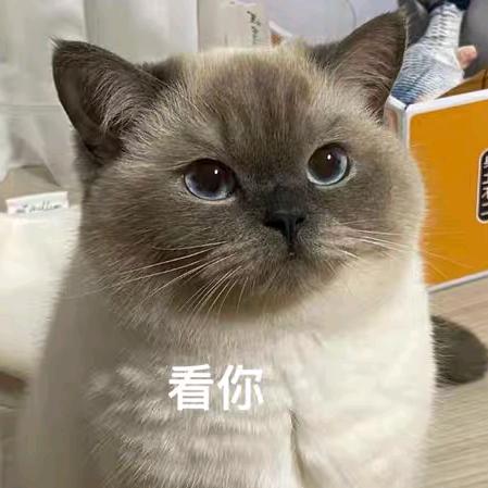 云外苍天