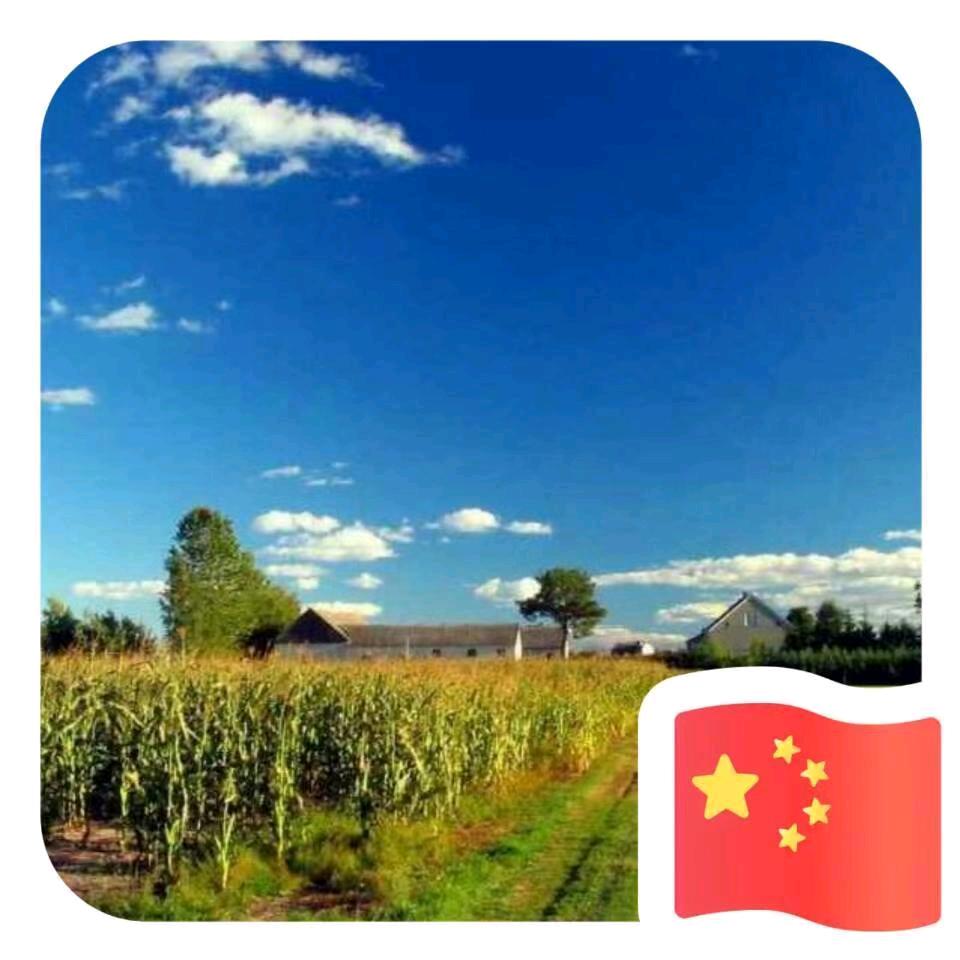 男人头上一片天（桶装水配送）