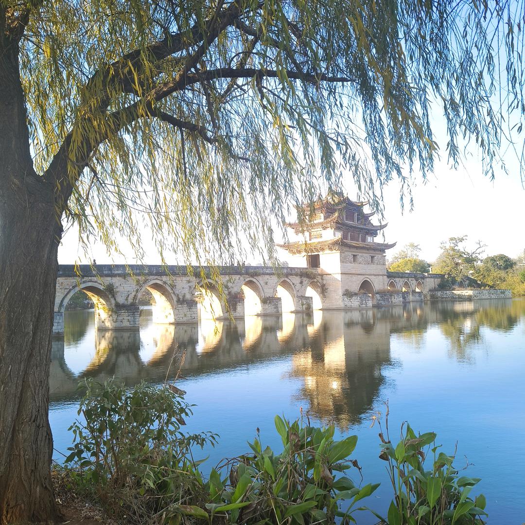 随风飞扬