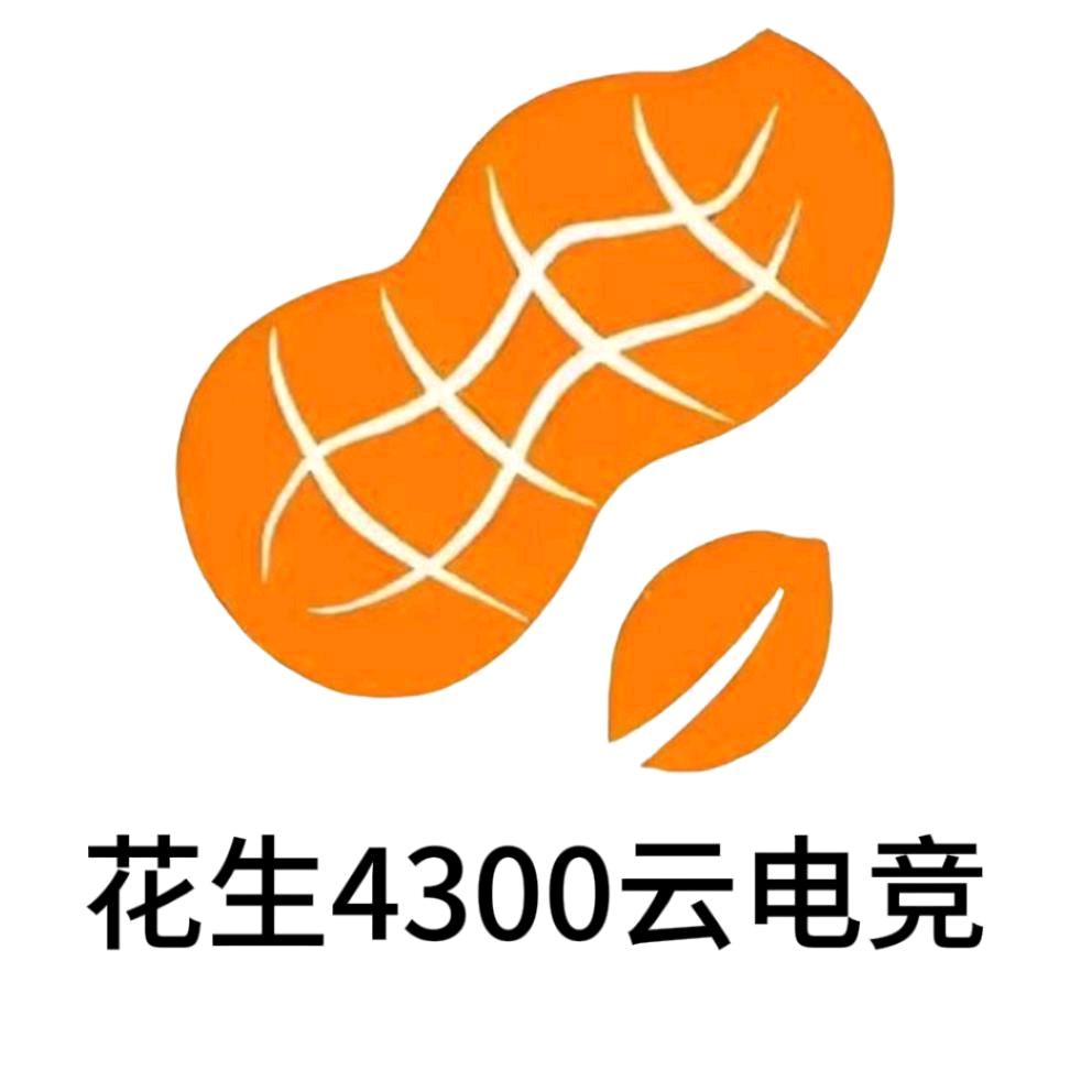 花生4300电竞