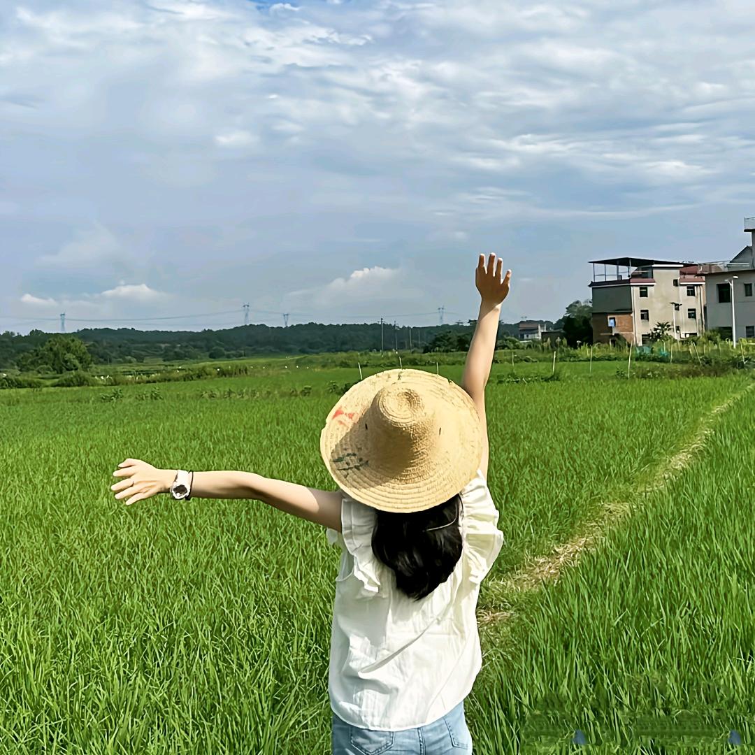 绿色田也