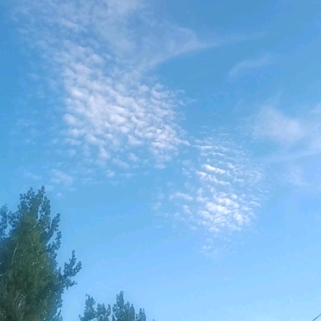 没有如果