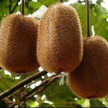 惠丰超市皇台店小徐