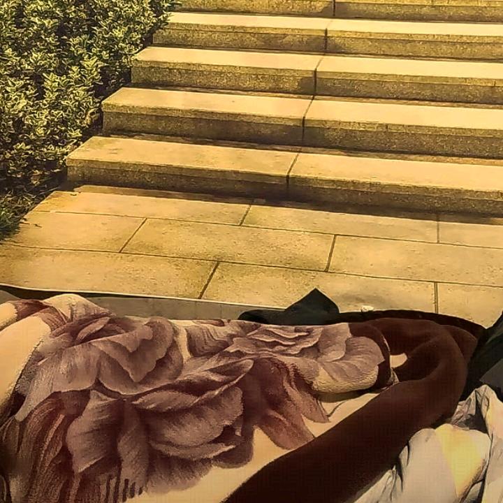 鸣哥