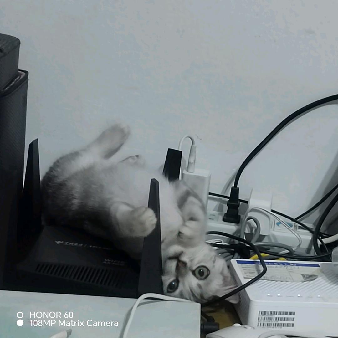 🍅🍒棉花糖🍬的微笑🍇🍑