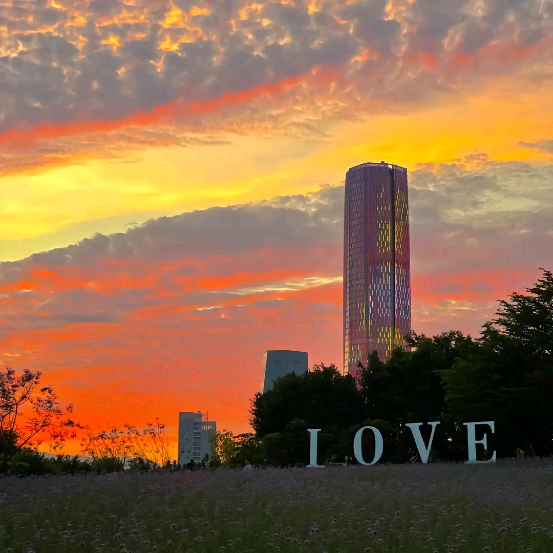 朱   平    （旅游 教练）