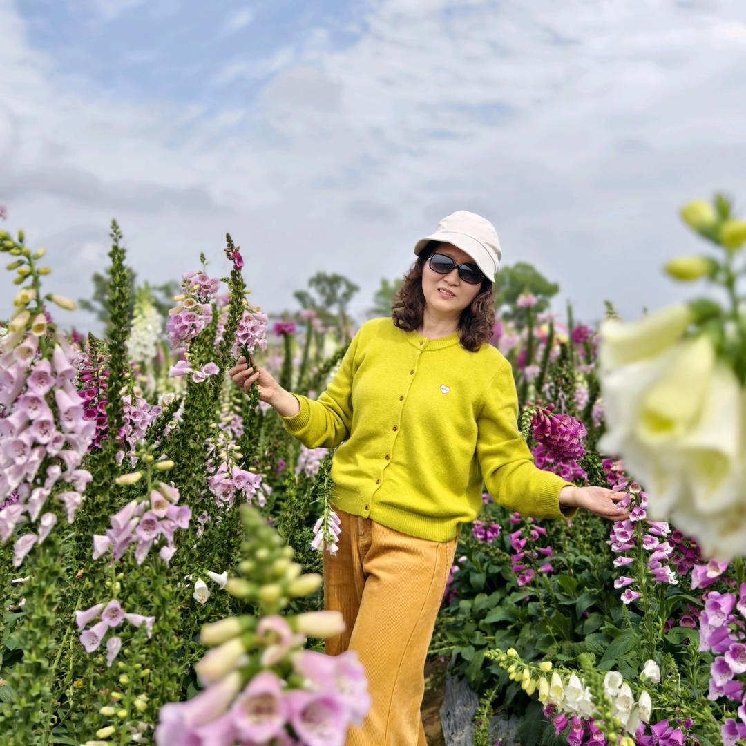 华华🌸