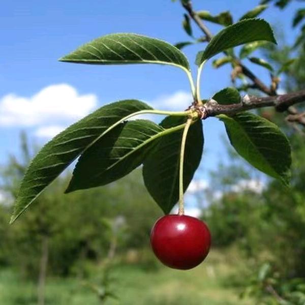 舟山市定海区果珍好食品超市