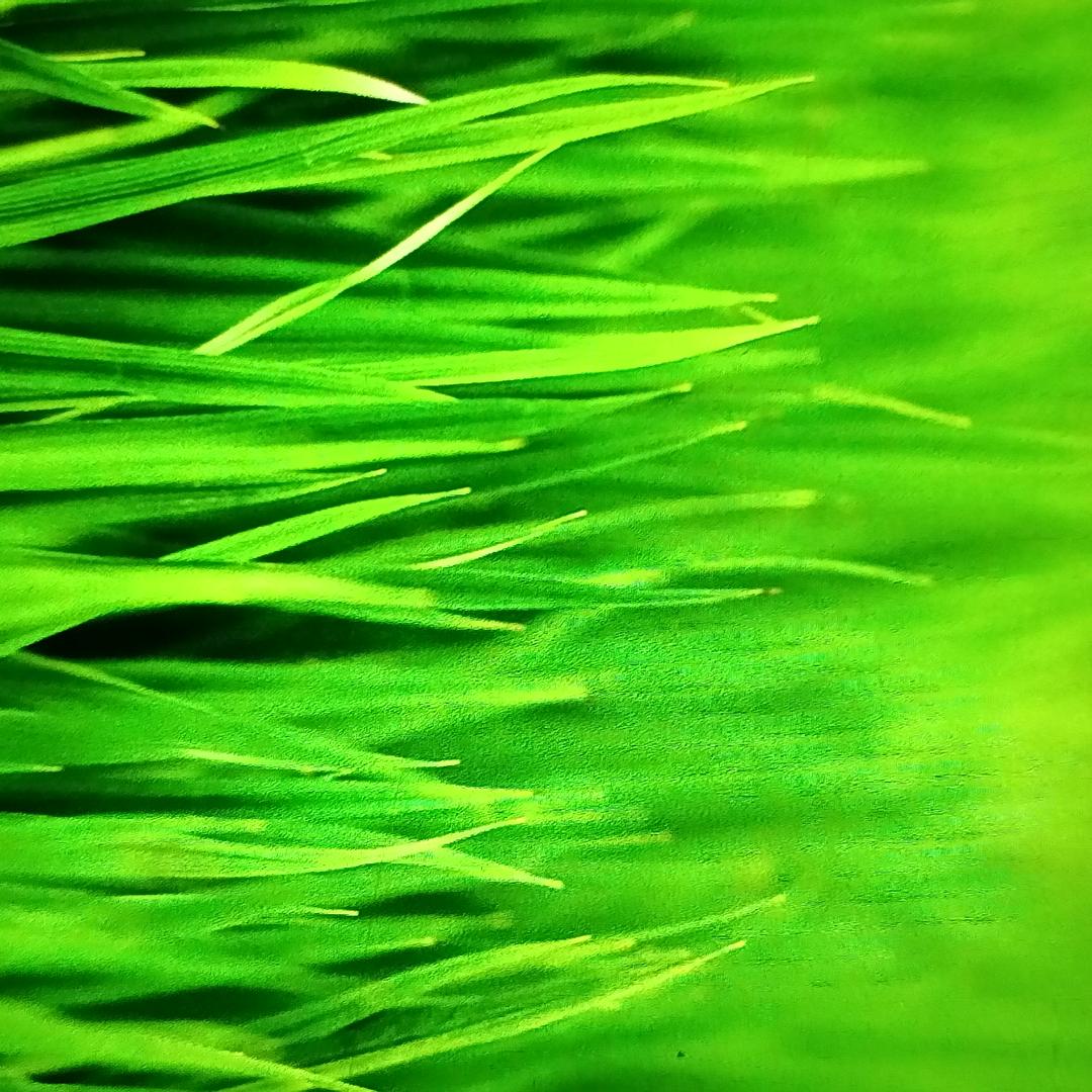 悠悠岁月