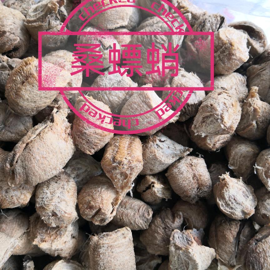 广水桑螵蛸-蜂房-蝉蜕