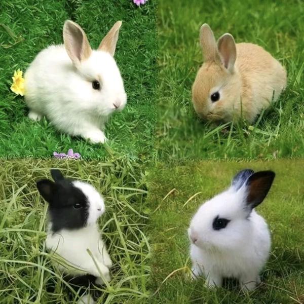 勇往直前  🚿冲冲冲