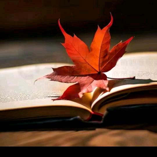 ✨秋🍁