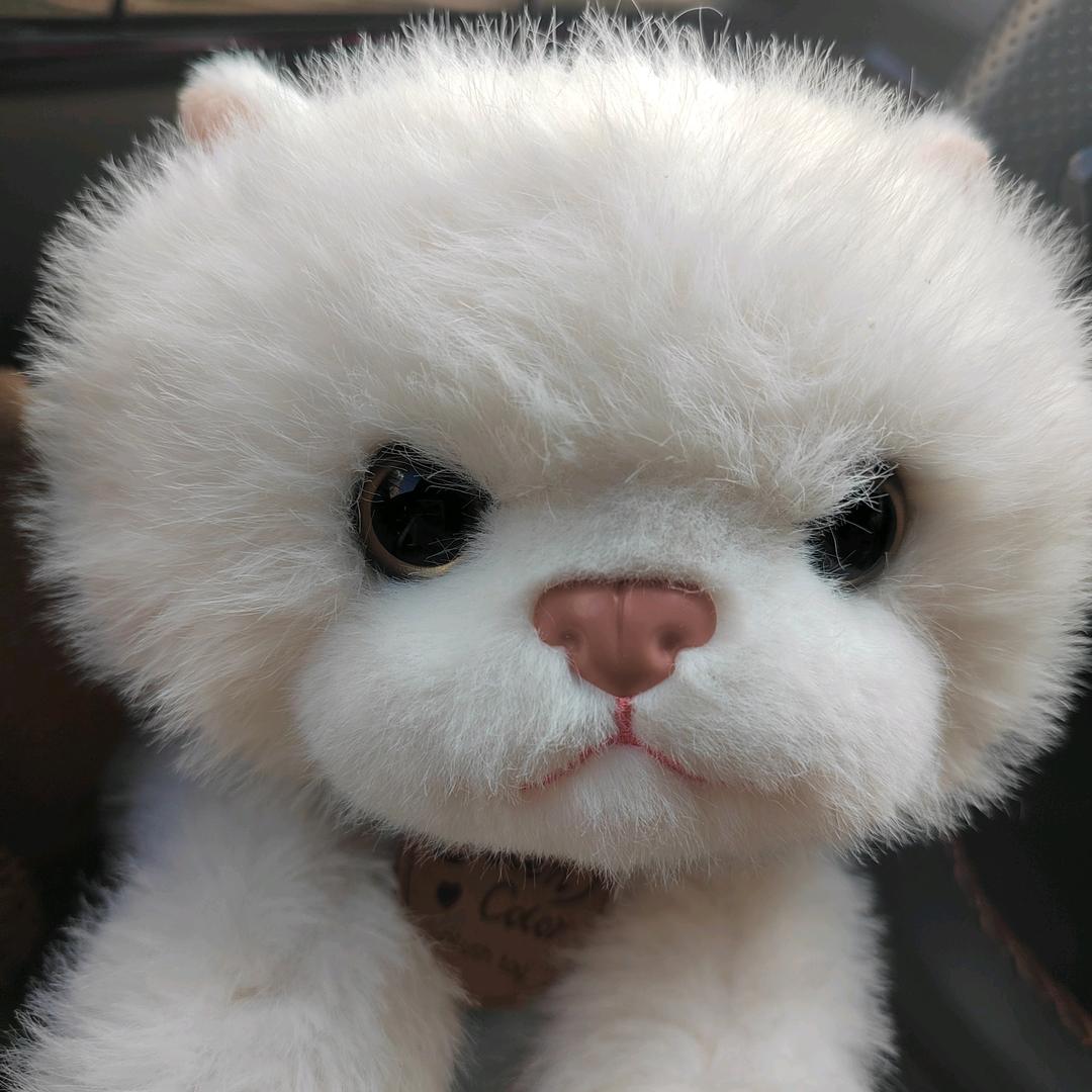 小远