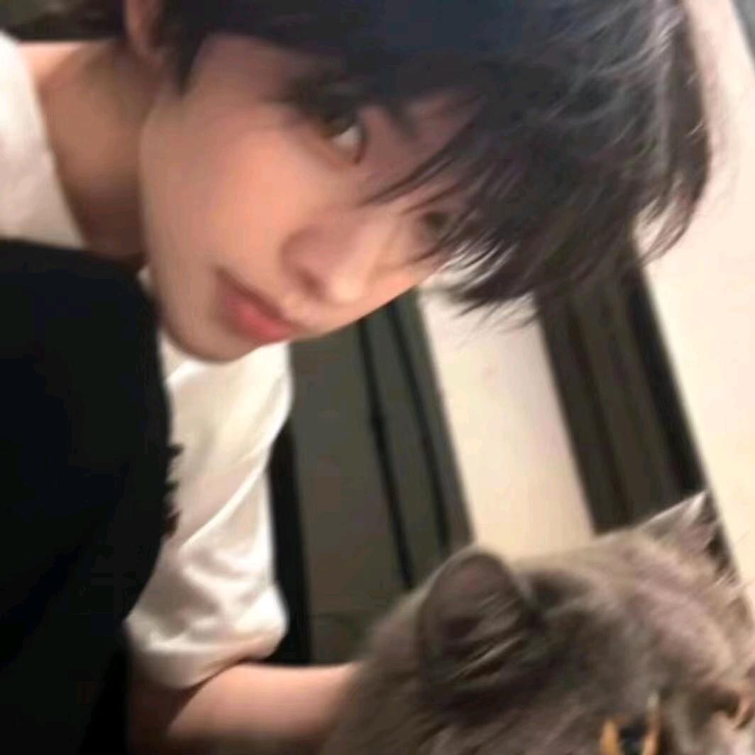 ʕ ᵔᴥᵔ ʔ（叶一）