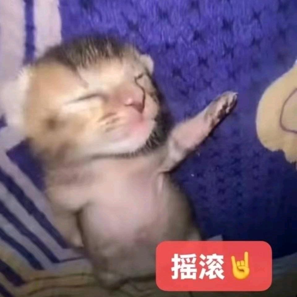 晚菀