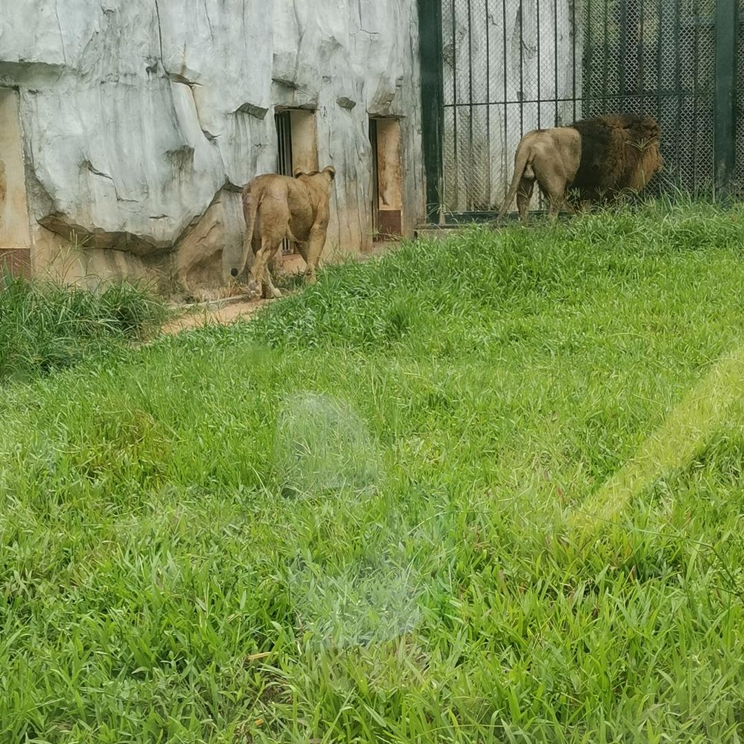🚬到尽头，自然飞