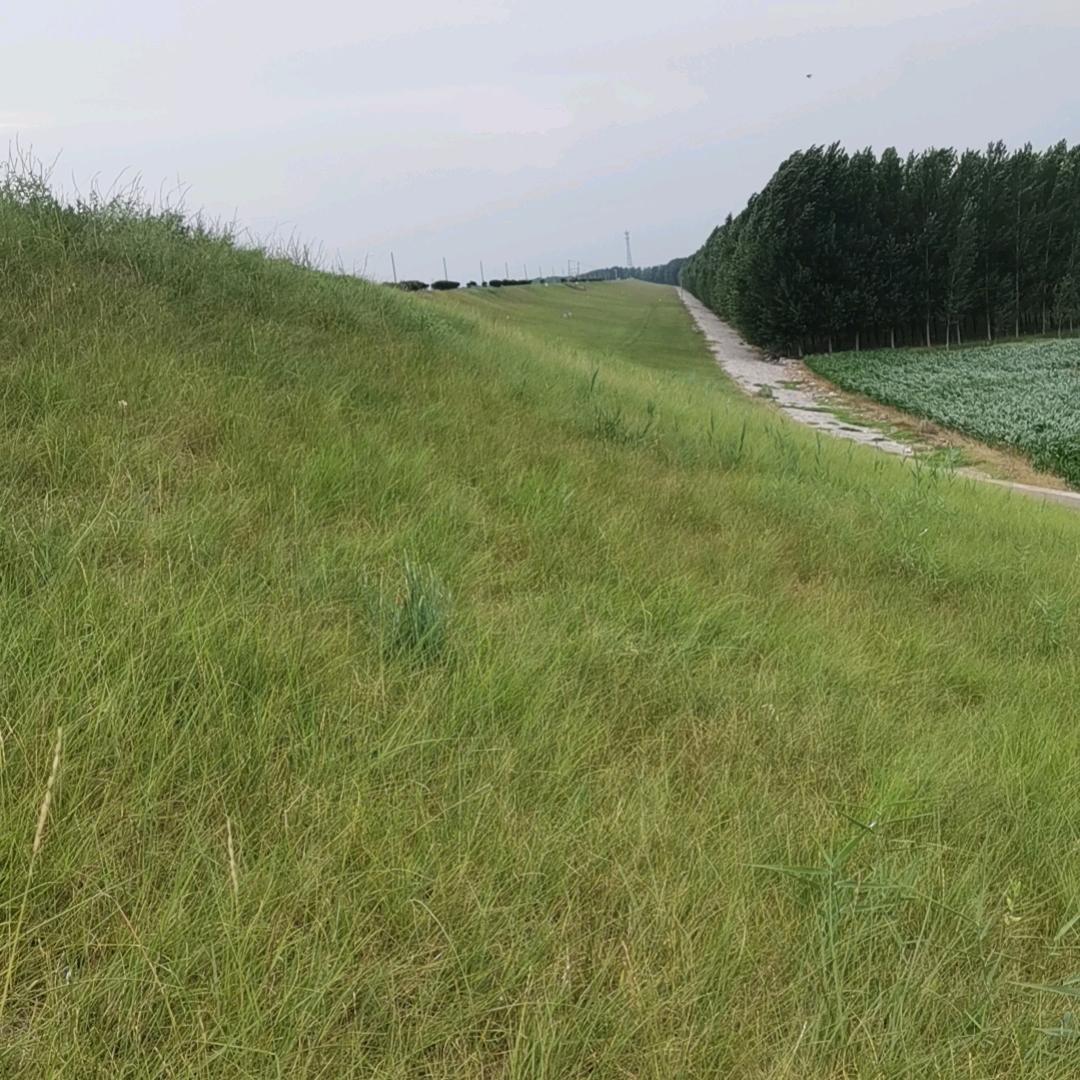 心愿《拒绝连赞》