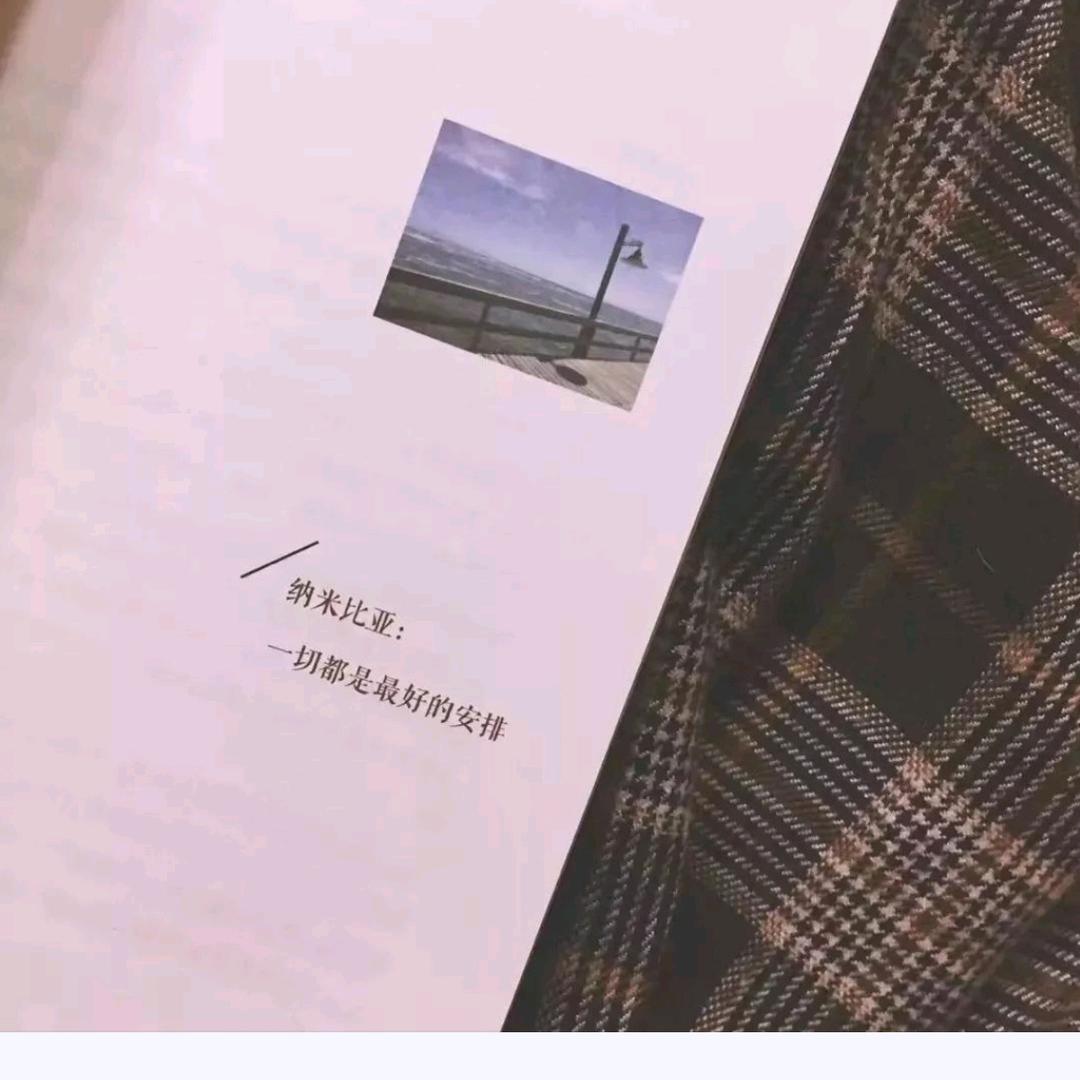 哈哈哈 ᵈᵈ