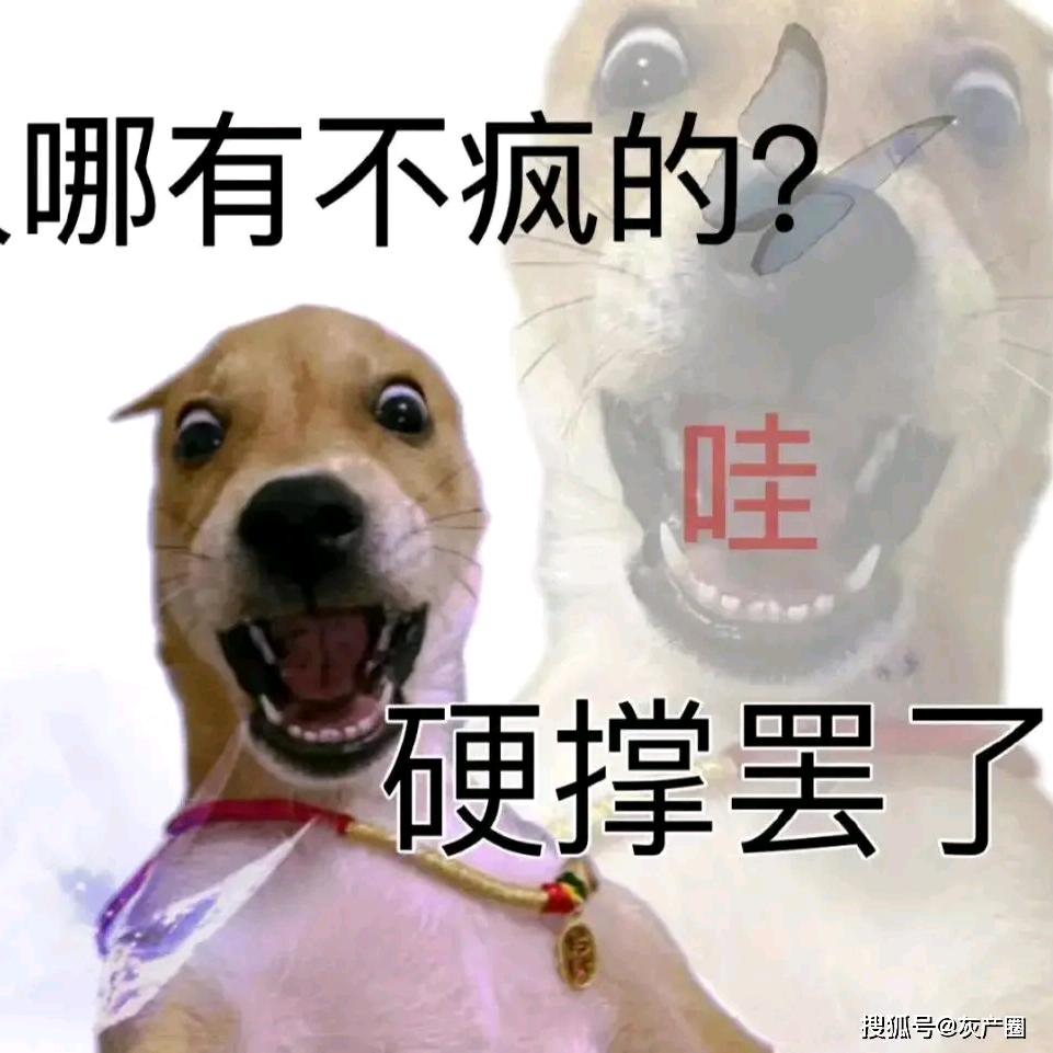 傻🐷