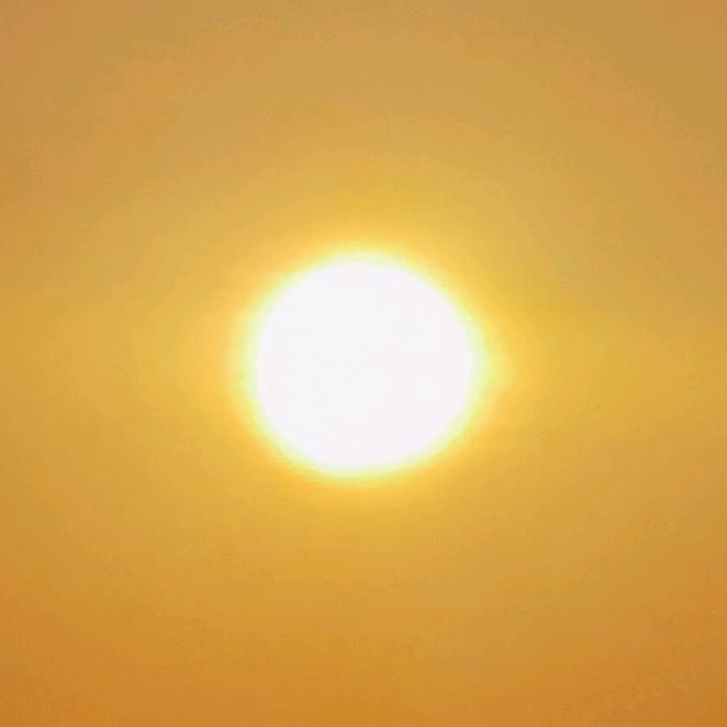 海阳 养牛 小伙