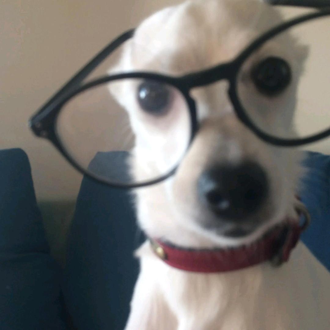 小鱼