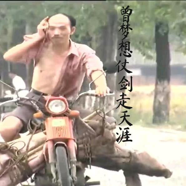 不该来的
