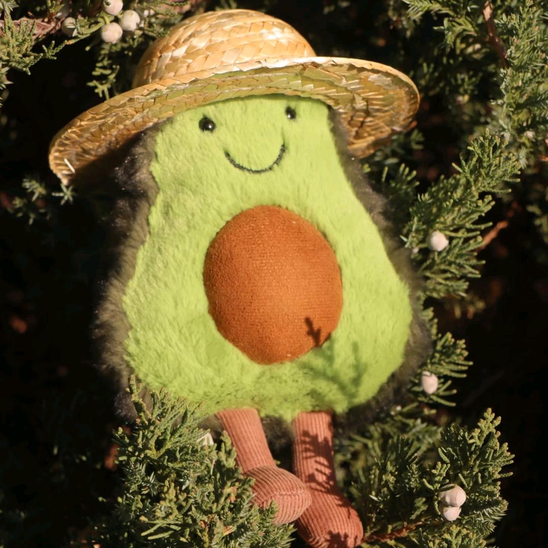 🥑Avocado生活美学馆