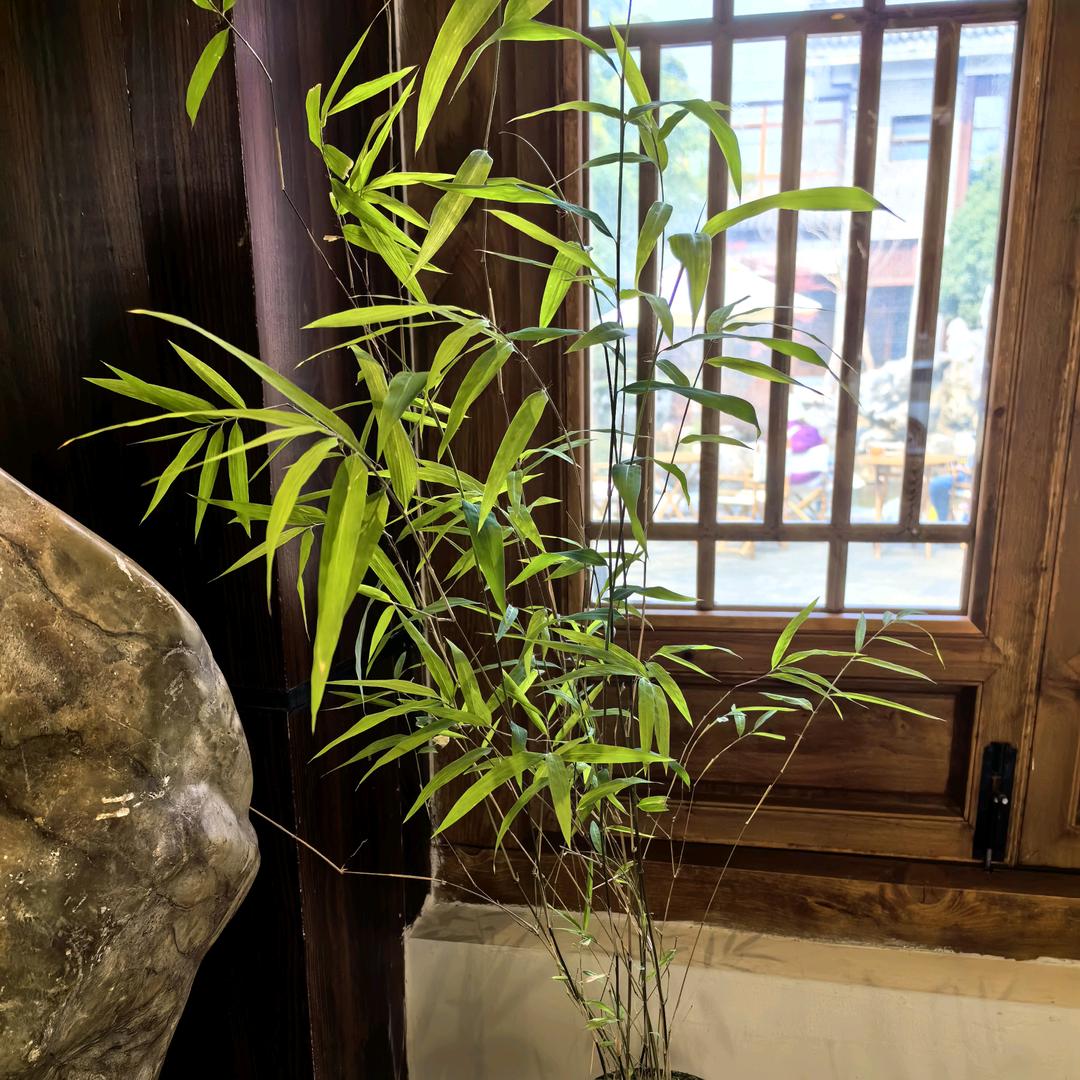 初遇💚