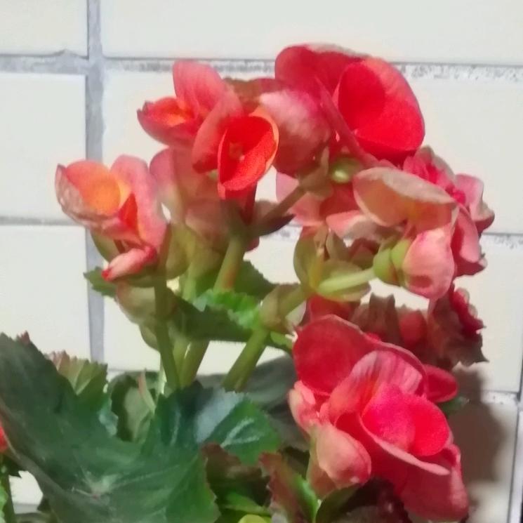 秀秀好分享