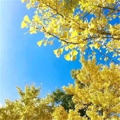 এ藍ོ天ꦿ